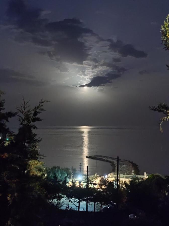 Ville Agnuli Case Vacanza Mattinata Exteriér fotografie